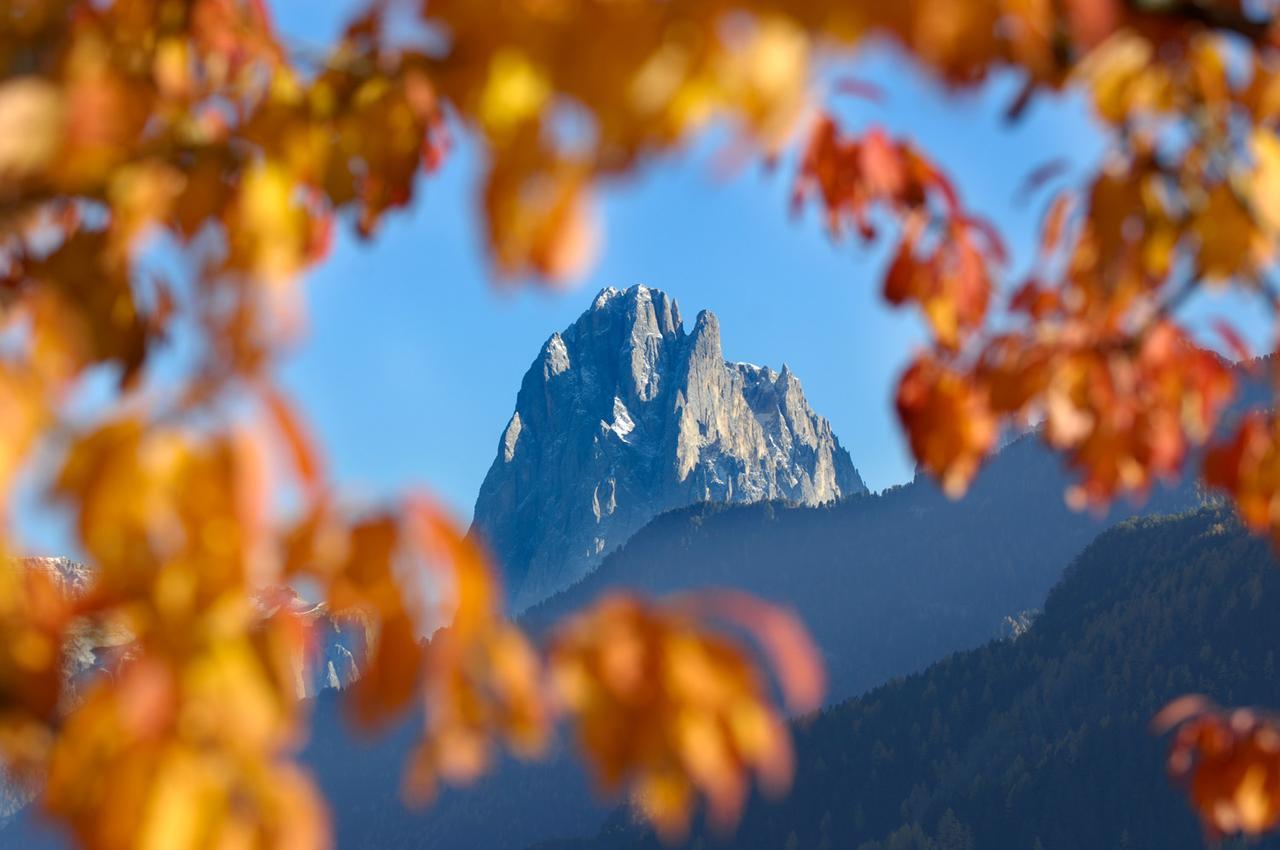 La Truga Selva di Val Gardena Exterior foto