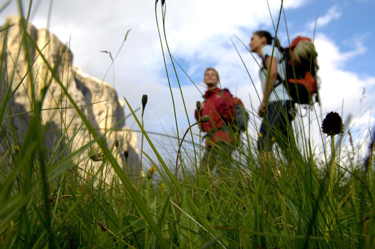 La Truga Selva di Val Gardena Exterior foto